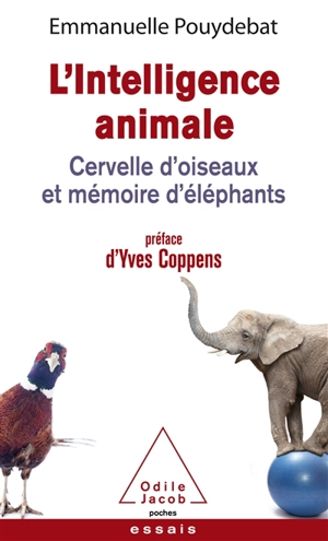 L'intelligence animale : cervelle d'oiseaux et mémoire d'éléphants - Emmanuelle Pouydebat