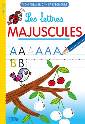 Les lettres majuscules : 4-6 ans - Chiaki Miyamoto