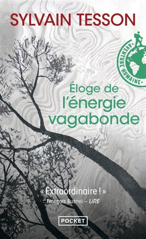 Eloge de l'énergie vagabonde - Sylvain Tesson