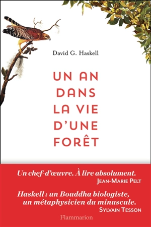 Un an dans la vie d'une forêt - David George Haskell