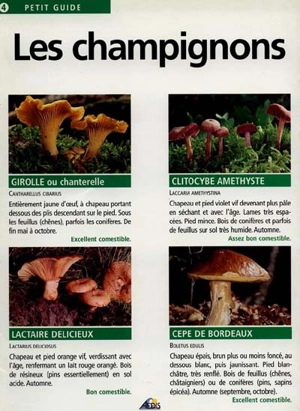 Les champignons