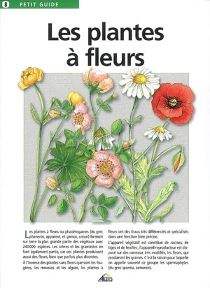 Les plantes à fleurs