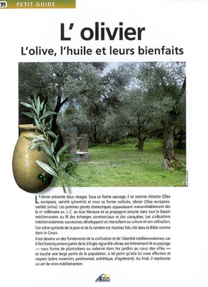 L'olivier : l'olive, l'huile et leurs bienfaits - Pasquale Medori