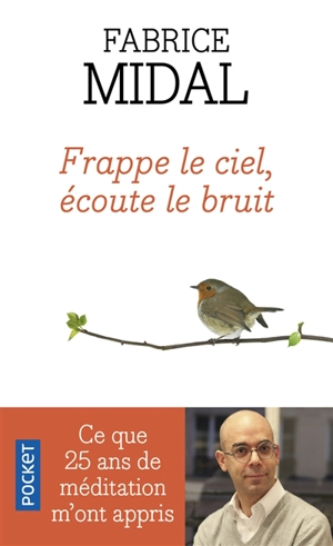 Frappe le ciel, écoute le bruit : ce que vingt-cinq ans de méditation m'ont appris - Fabrice Midal