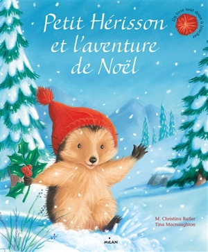 Petit Hérisson et l'aventure de Noël - M. Christina Butler