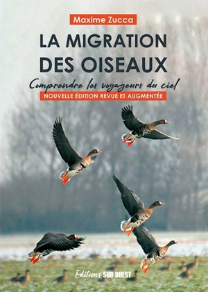 La migration des oiseaux : comprendre les voyageurs du ciel - Maxime Zucca