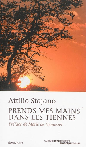 Prends mes mains dans les tiennes - Attilio Stajano