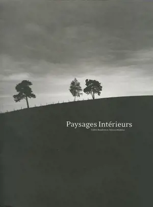 Paysages intérieurs - Cédric Bondonnat