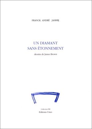 Un diamant sans étonnement - Franck André Jamme