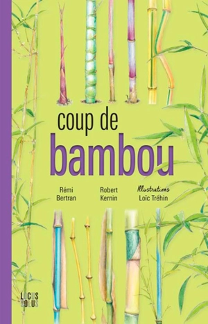 Coup de bambou - Rémi Bertran