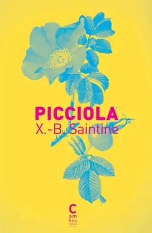 Picciola - X.-B. Saintine