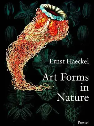 Ernst Haeckel Art Forms in Nature - Ernst Haeckel