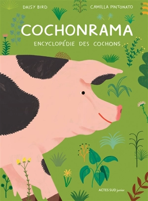 Cochonrama : encyclopédie des cochons - Daisy Bird