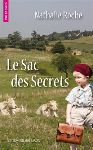 Le sac des secrets - Nathalie Roche