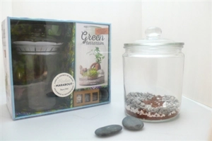 Coffret green terrarium - Noam Levy