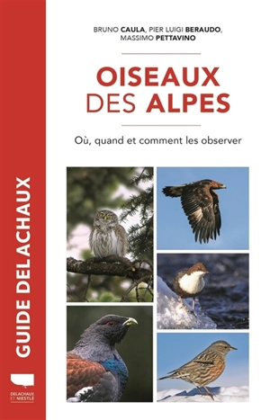 Oiseaux des Alpes : où, quand et comment les observer - Bruno Caula