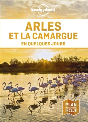 Arles et la Camargue en quelques jours - Caroline Delabroy