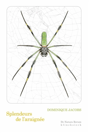 Splendeurs de l'araignée - Dominique Jacobs