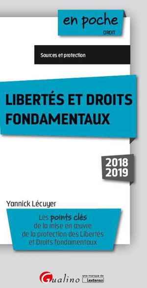 Libertés et droits fondamentaux 2018-2019 : les points clés de la mise en oeuvre de la protection des libertés et droits fondamentaux : sources et protection - Yannick Lécuyer