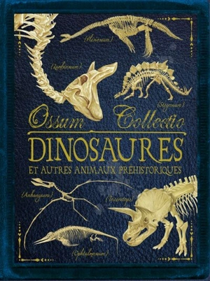 Dinosaures et autres animaux préhistoriques - Rob Colson