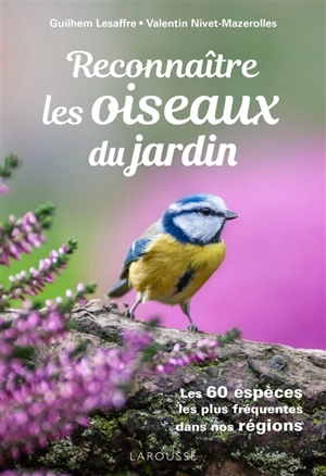 Reconnaître les oiseaux du jardin : les 60 espèces les plus fréquentes dans nos régions - Guilhem Lesaffre