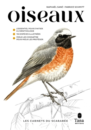 Oiseaux : l'essentiel pour s'initier à l'ornithologie, 150 espèces illustrées, mieux les connaître pour mieux les protéger - Raphaël Sané