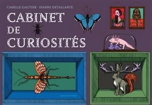 Cabinet de curiosités - Camille Gautier