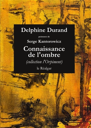 Connaissance de l'ombre - Delphine Durand