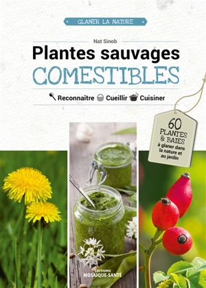 Plantes sauvages comestibles : reconnaître, cueillir, cuisiner - Nat Sinob