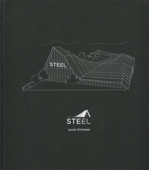 Steel : Saint-Etienne - Pierre Delohen