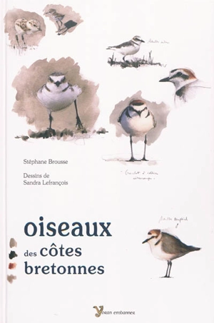 Oiseaux des côtes bretonnes - Stéphane Brousse