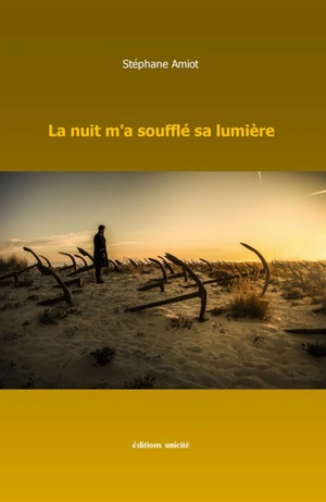 Les écrits de la pénombre. Vol. 2. La nuit m'a soufflé sa lumière - Stéphane Amiot