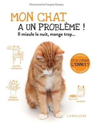 Mon chat a un problème ! : il miaule la nuit, mange trop... : et si c'était l'ennui ? Conseils, jeux & activités - Florence Icard