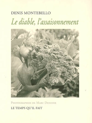 Le diable, l'assaisonnement - Denis Montebello