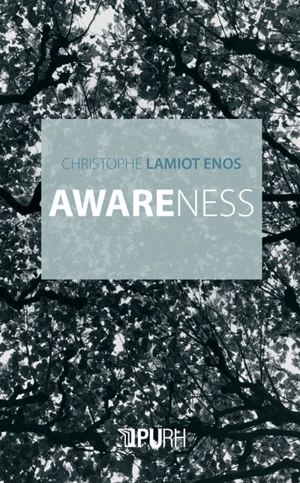 Awareness - Christophe Lamiot