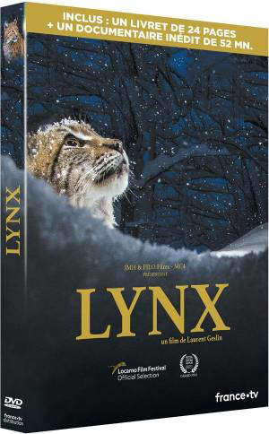 Lynx - Laurent Geslin