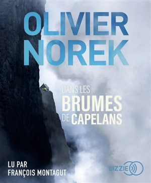 Dans les brumes de Capelans - Olivier Norek