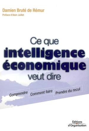 Ce que intelligence économique veut dire : comprendre, comment faire, prendre du recul - Damien Bruté de Rémur