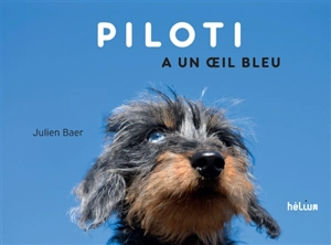 Piloti a un oeil bleu - Julien Baer