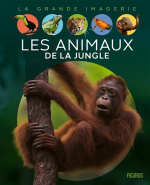 Les animaux de la jungle - Raphaëlle Chauvelot