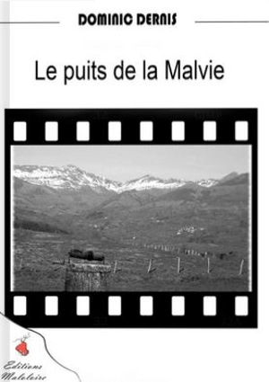 Le puits de la Malvie - Dominic Dernis