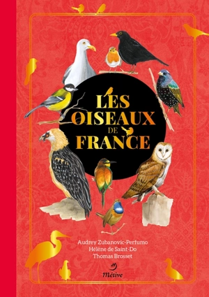 Les oiseaux de France - Audrey Zubanovic-Perfumo