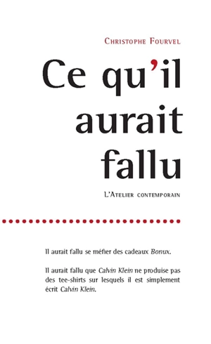 Ce qu'il aurait fallu - Christophe Fourvel