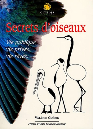 Secrets d'oiseaux : vie publique, vie privée, vie rêvée - Valérie Guénin