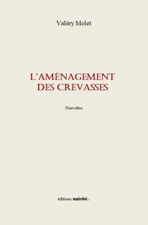 L'aménagement des crevasses - Valéry Molet