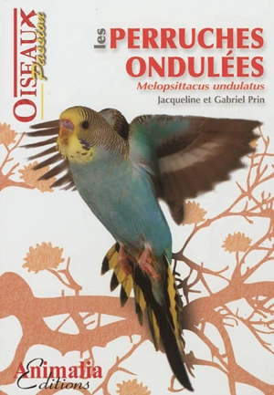 Les perruches ondulées : melopsittacus undulatus - Jacqueline Prin