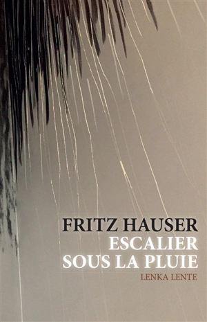 Fritz Hauser : escalier sous la pluie - Bice Curiger