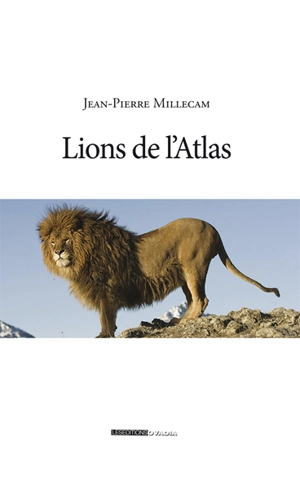 Lions de l'Atlas - Jean-Pierre Millecam