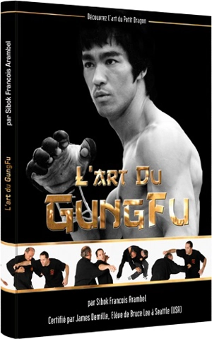 L'art du gung-fu - François Arambel