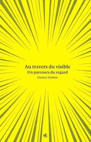 Au travers du visible : un parcours du regard - Damien Brohon